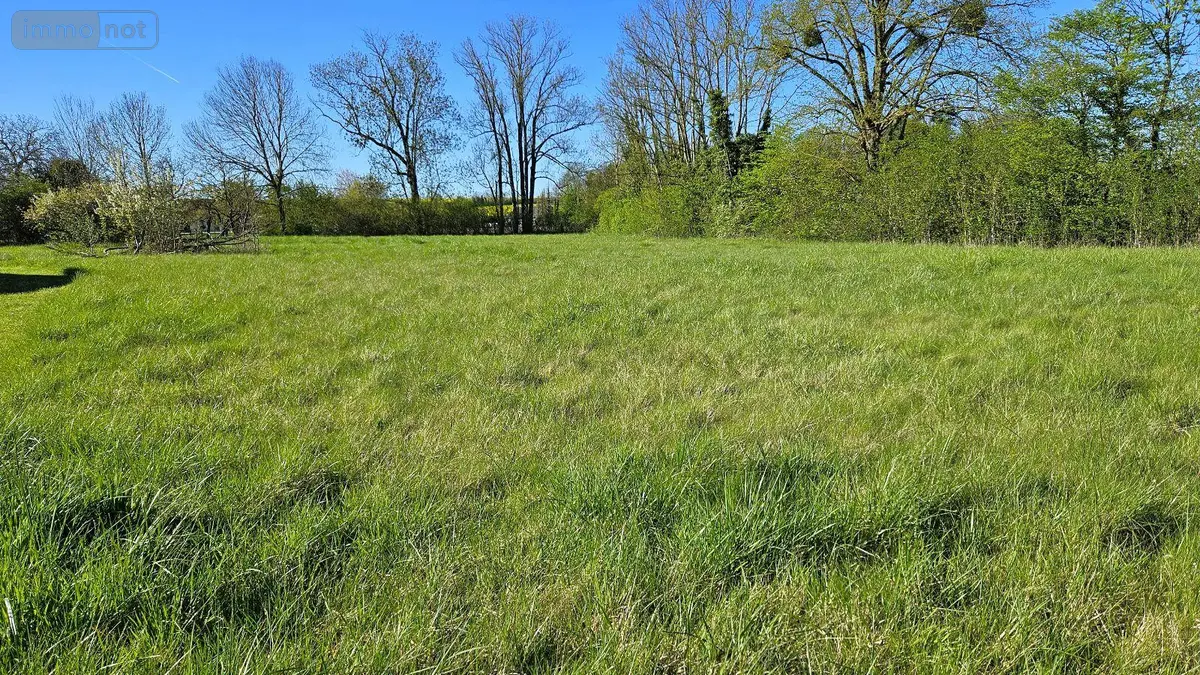 Terrain a batir a vendre Brandonvillers 51290 Marne 51 3000 m2 28000 euros 51081/987 001