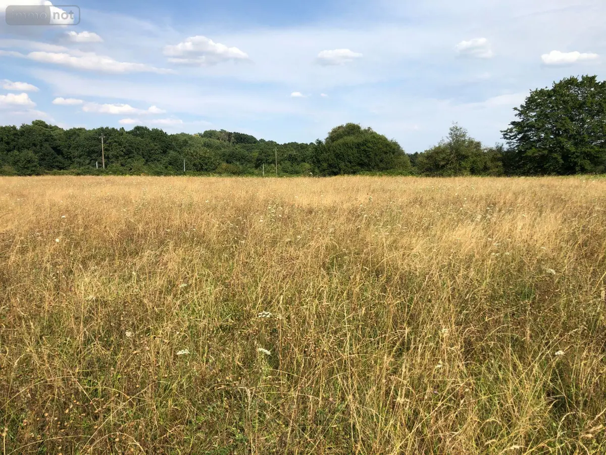 Bien agricole a vendre Beaufay 72110 Sarthe 72 17604 euros 079/2039 001