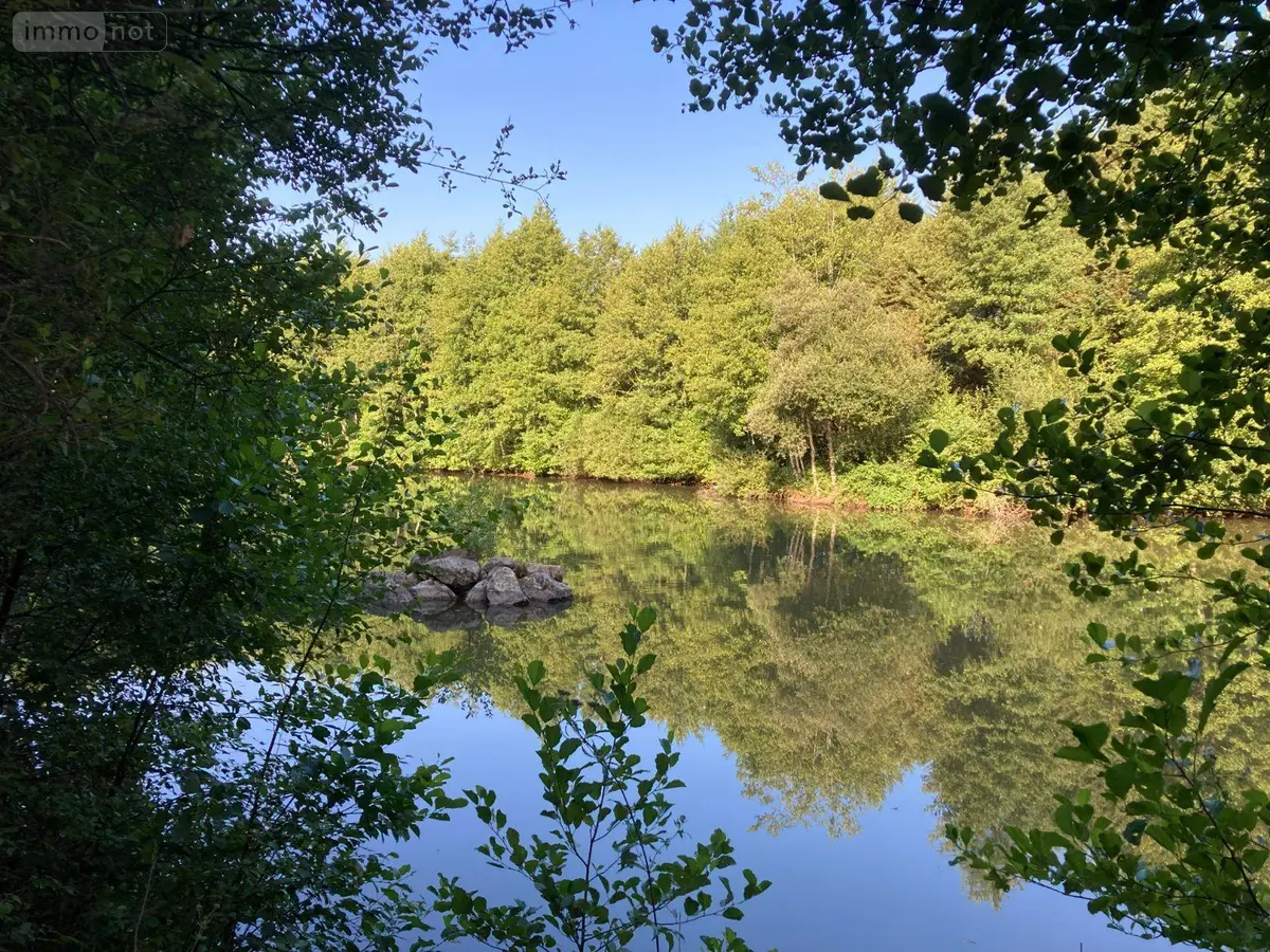 Terrains de loisirs bois etangs a vendre Saint-Aubin-du-Cormier 35140 Ille-et-Vilaine 35 66000 euros 35026/12 001
