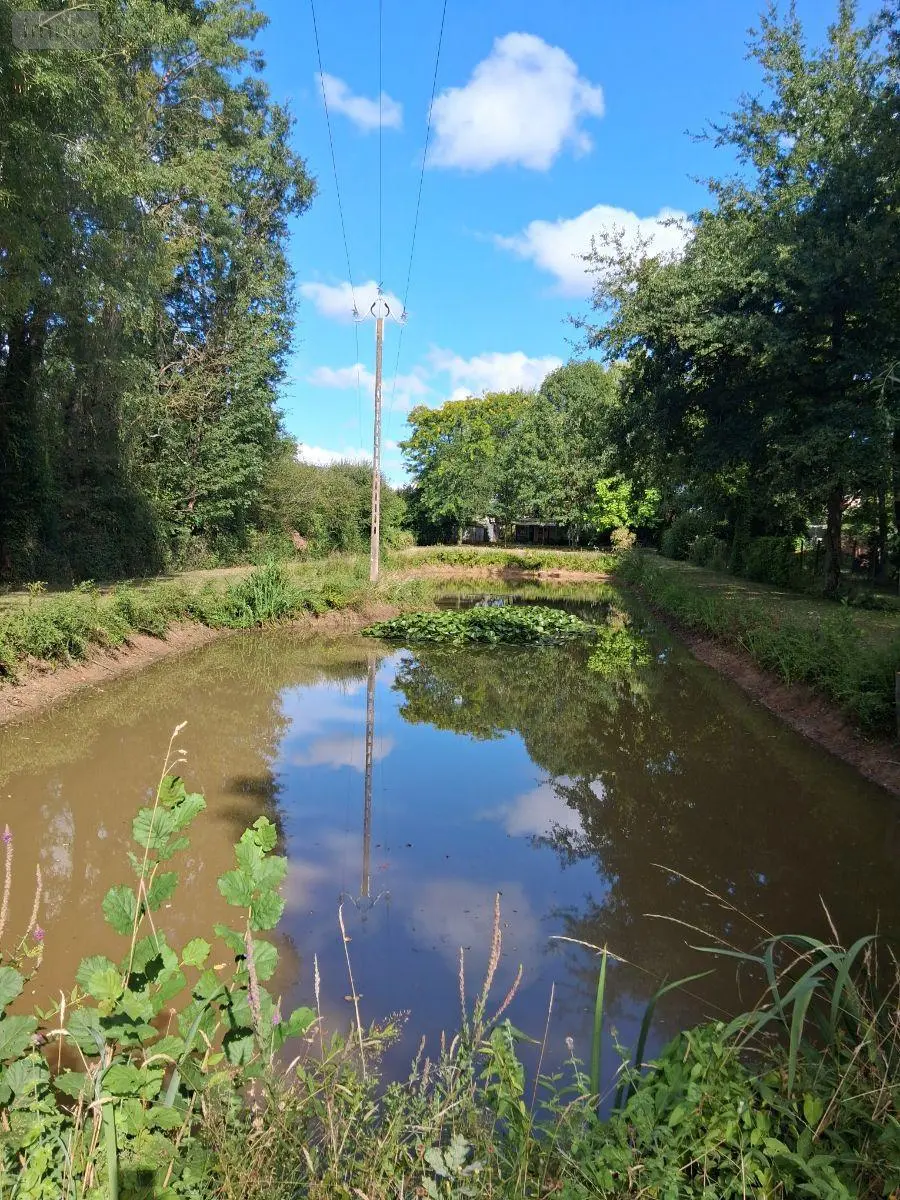 Terrains de loisirs bois etangs a vendre Mézeray 72270 Sarthe 72 34800 euros 510 001