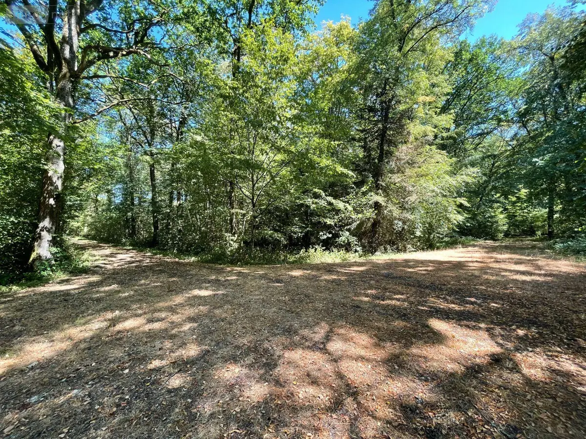 Terrains de loisirs bois etangs a vendre Alençon 61000 Orne 61 572400 euros 61001-135 001