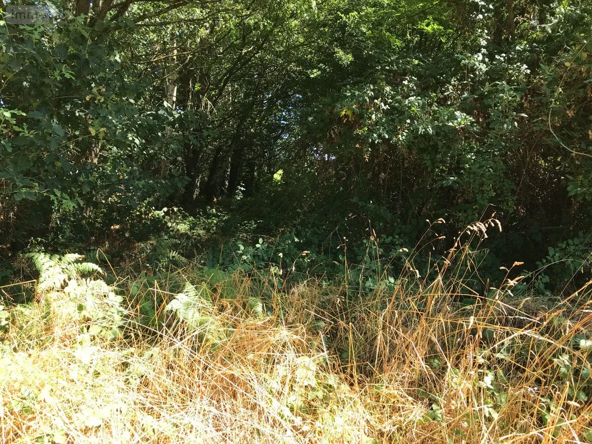 Terrains de loisirs bois etangs a vendre Bonnétable 72110 Sarthe 72 6200 euros 079/2044 001