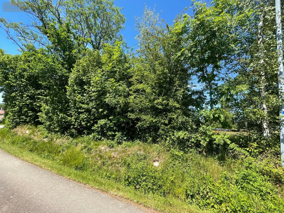 Terrain a batir a vendre La Chapelle-aux-Bois 88240 Vosges 88 800 m2 15000 euros 88014/80 001
