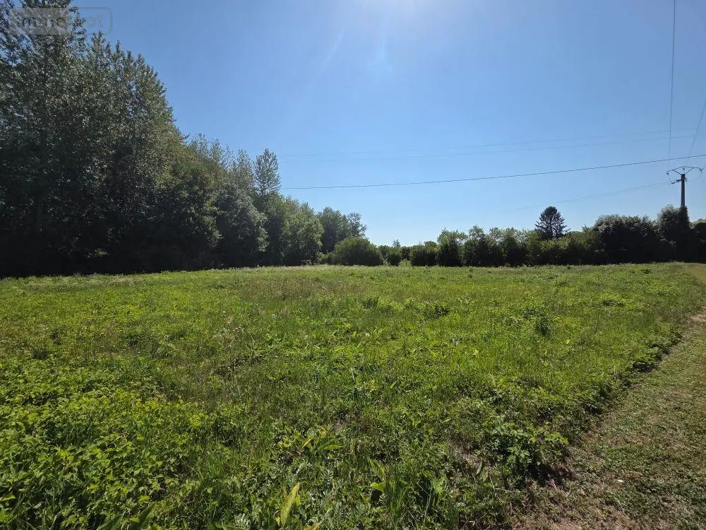 Bien agricole a vendre Bar-sur-Seine 10110 Aube 10 18637 euros 10063/1299 001