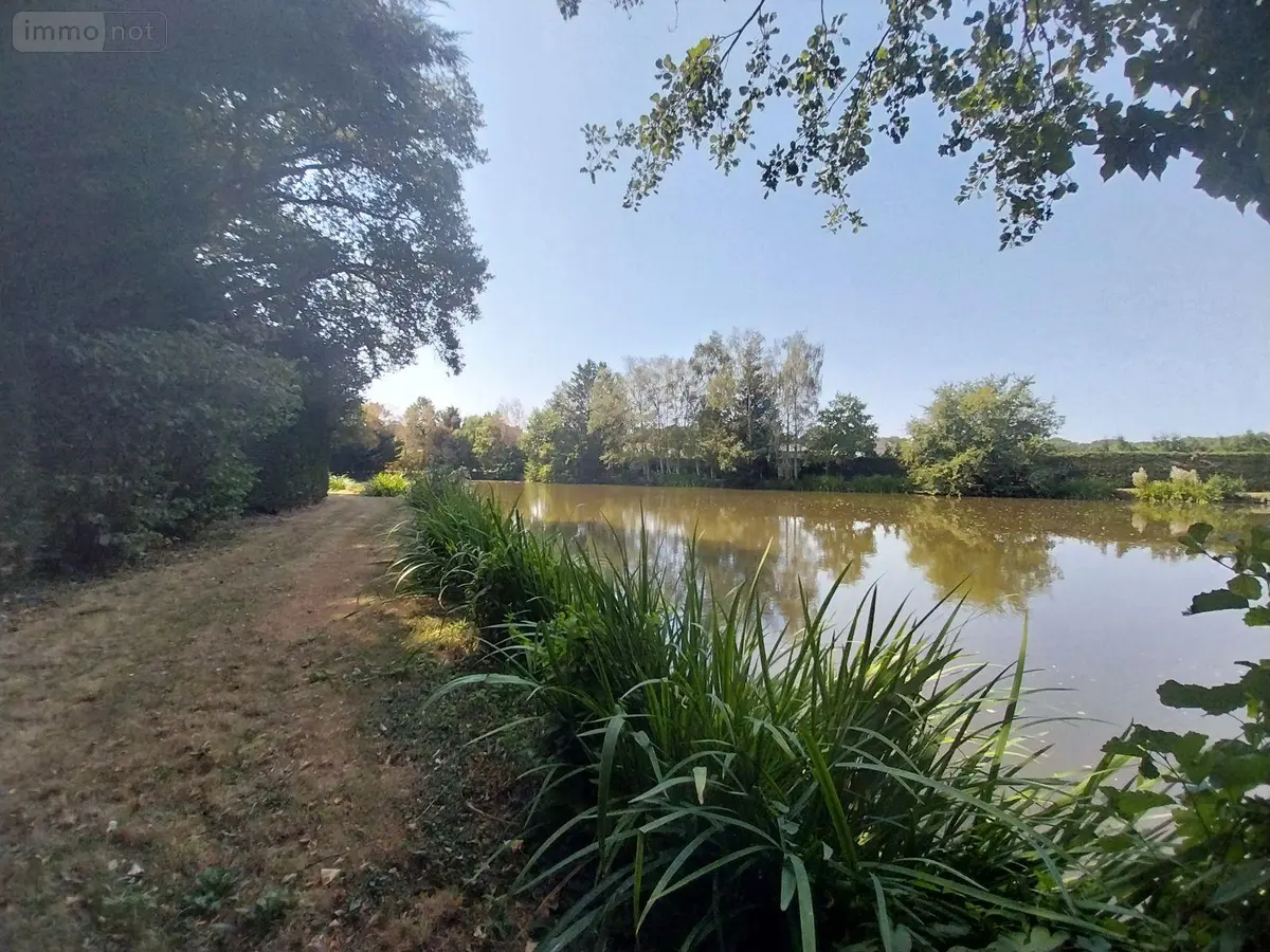 Terrains de loisirs bois etangs a vendre Bourgon 53410 Mayenne 53 64800 euros 35131-326 001