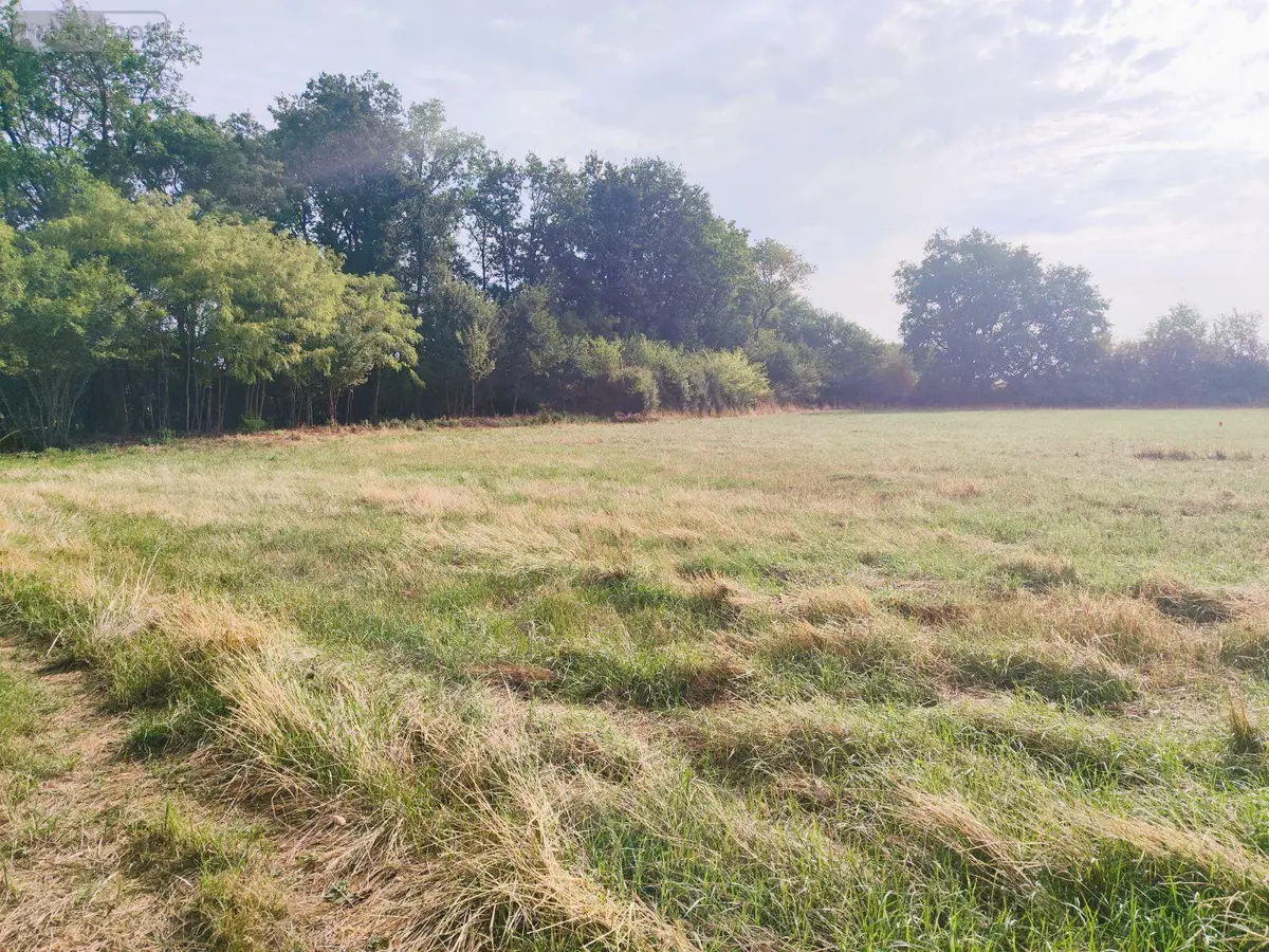 Terrain a batir a vendre Tercé 86800 Vienne 86 33600 euros 2568 001