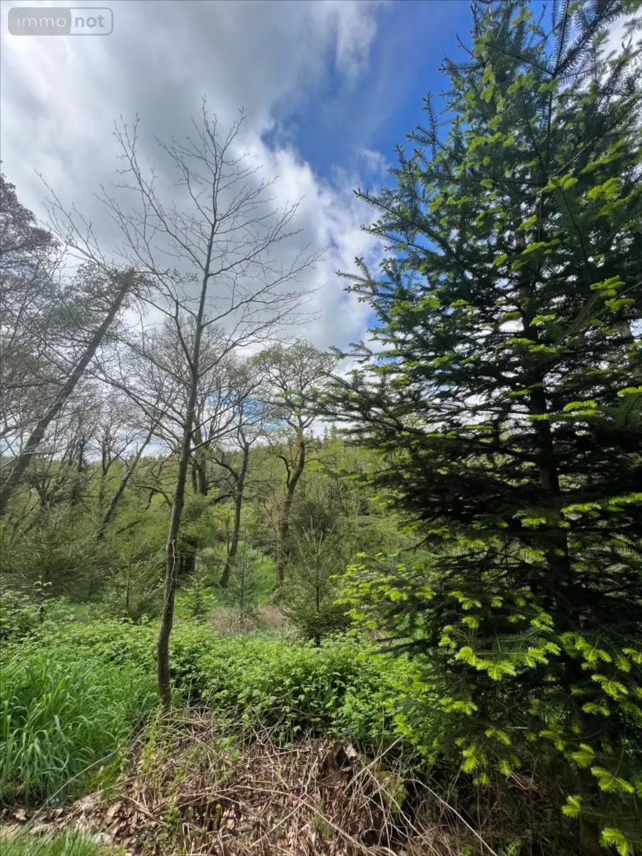 Terrains de loisirs bois etangs a vendre Châteauneuf-du-Faou 29520 Finistère 29 85600 euros 29060-1080156 001