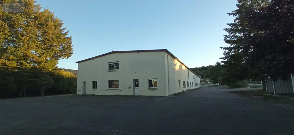 Fonds et murs commerciaux a vendre Biesles 52340 Haute-Marne 52 1244 m2 283400 euros 52020-77 001