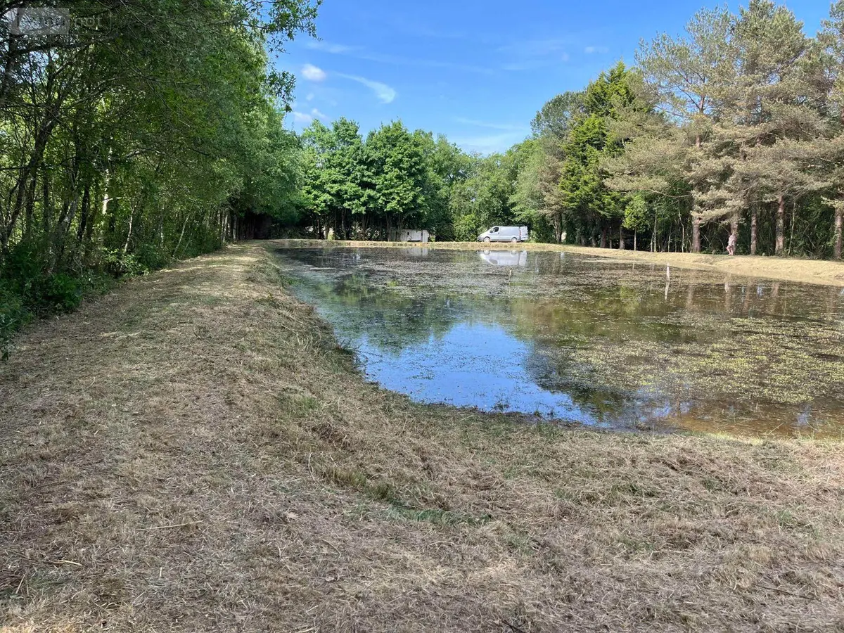 Terrains de loisirs bois etangs a vendre Renac 35660 Ille-et-Vilaine 35 34000 euros 35129-7023 001