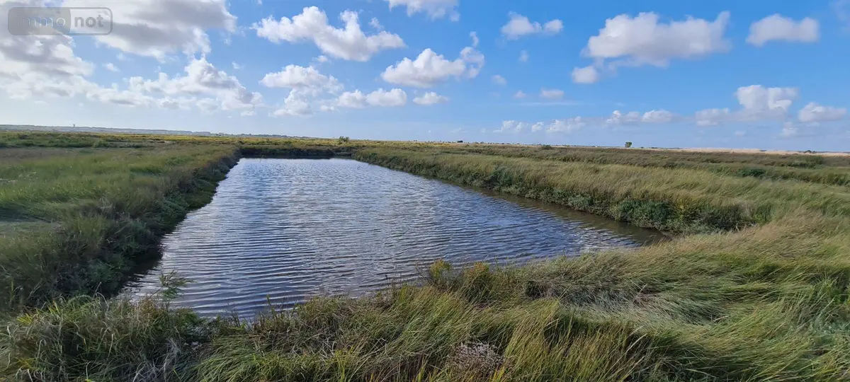 Terrains de loisirs bois etangs a vendre Le Gua 17600 Charente-Maritime 17 32400 euros 02084 001