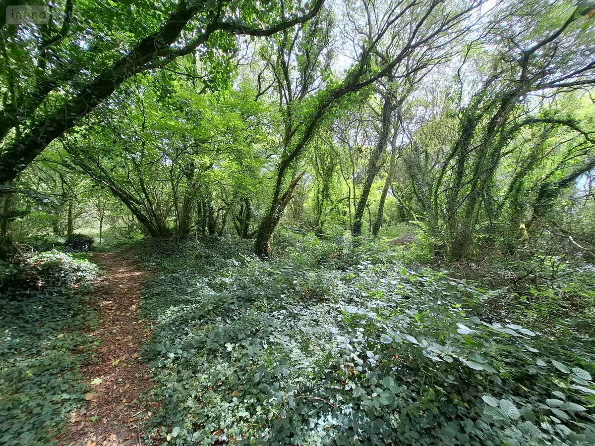 Terrains de loisirs bois etangs a vendre Trébrivan 22340 Côtes-d'Armor 22 3700 euros 22075/TEBE1702 001