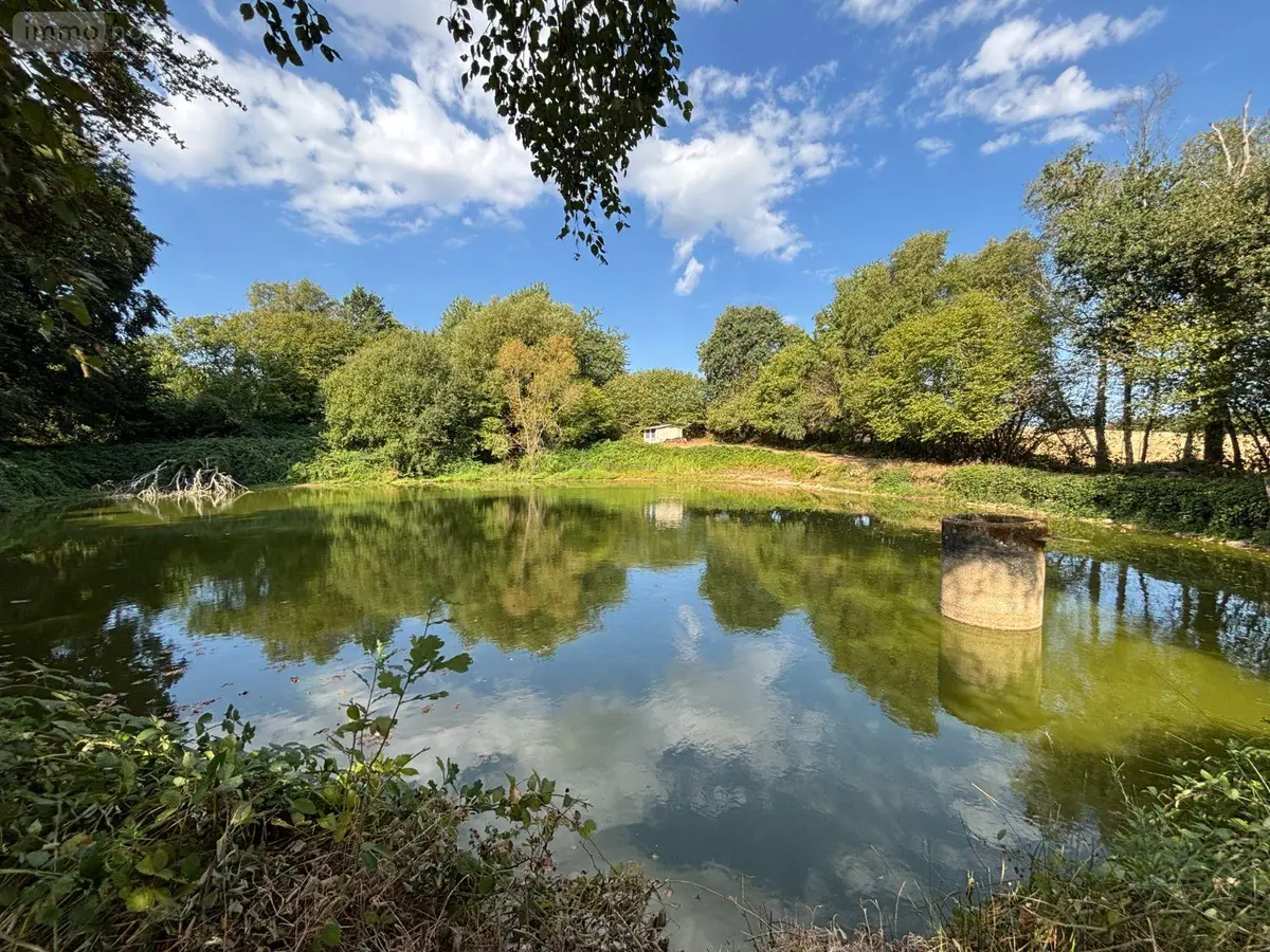 Terrains de loisirs bois etangs a vendre Saint-Mars-sur-la-Futaie 53220 Mayenne 53 20792 euros 1392 001