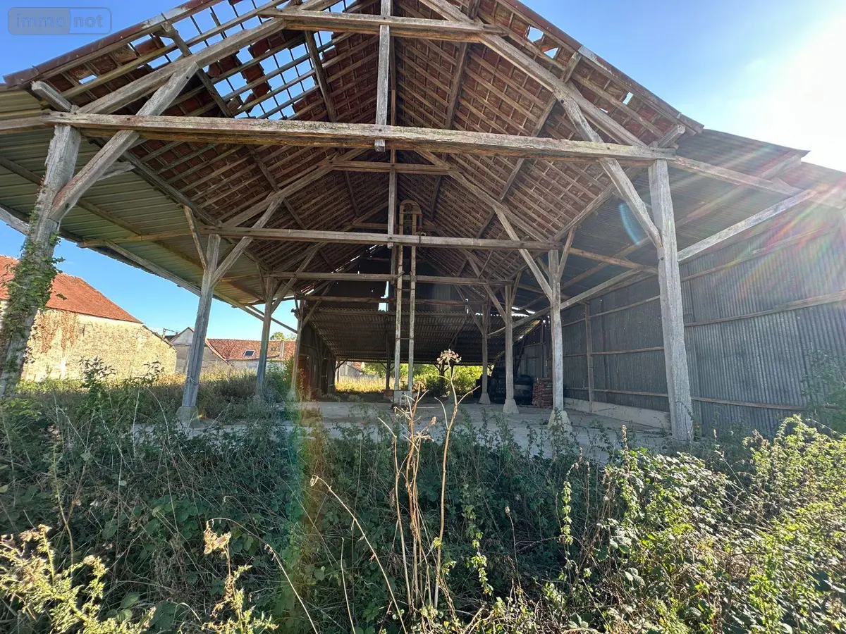 Bien agricole a vendre Villeneuve-sur-Yonne 89500 Yonne 89 17000 euros 89062-154 001
