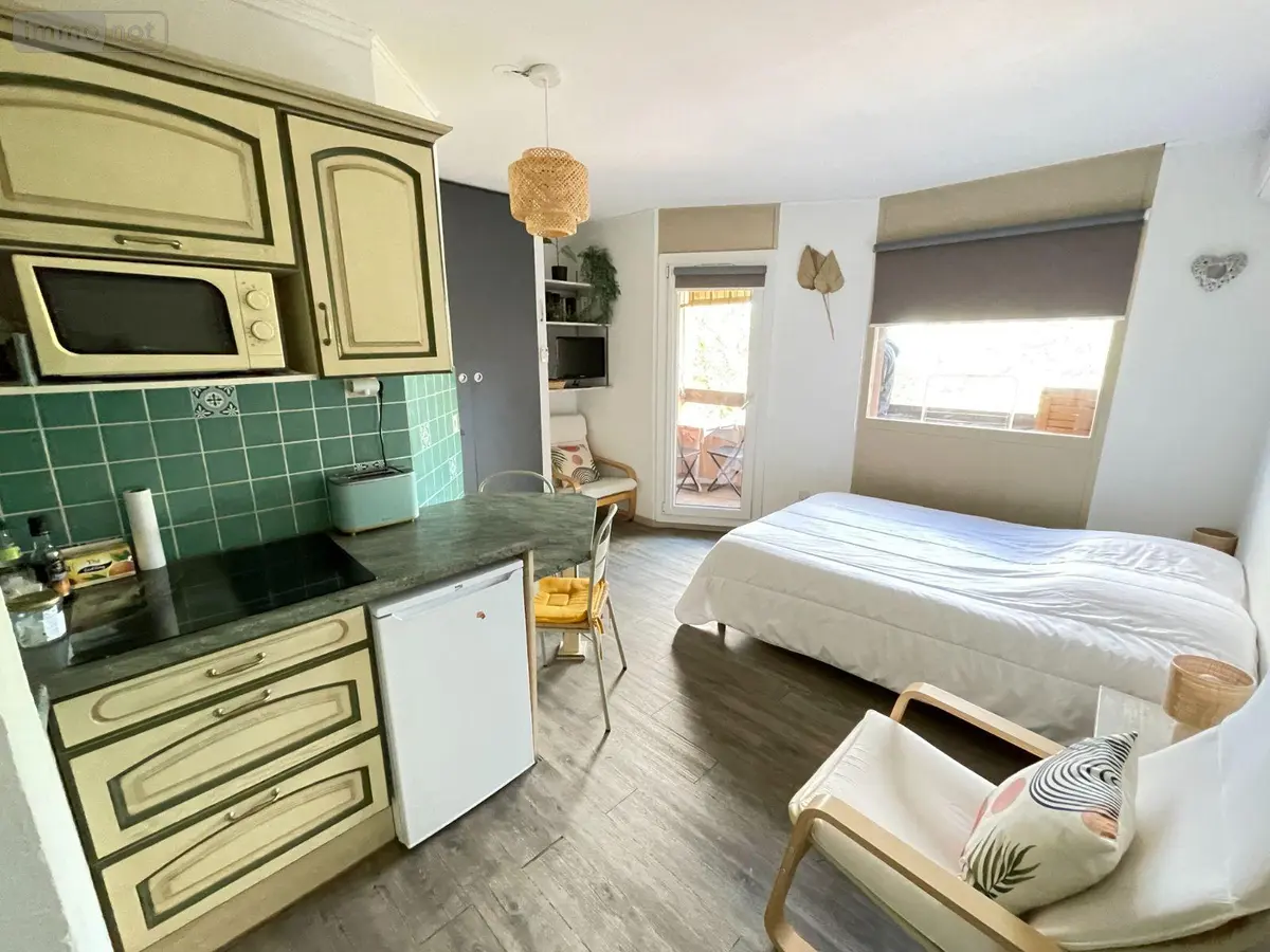 Appartement a vendre Gréoux-les-Bains 04800 Alpes-de-Haute-Provence 04 19 m2 1 pièce 69900 euros 025/1955 001