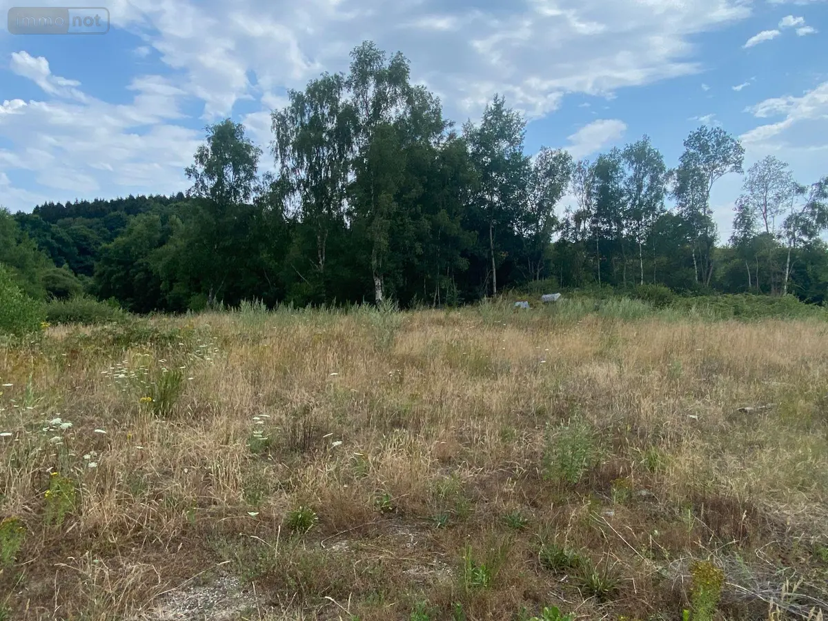 Terrains de loisirs bois etangs a vendre Pontmain 53220 Mayenne 53 105400 euros 135/166 001