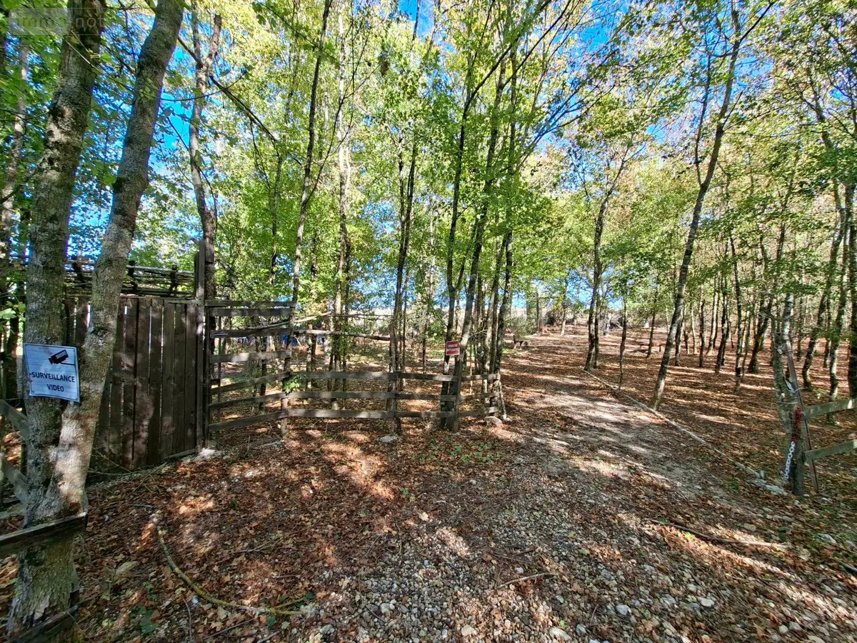 Terrains de loisirs bois etangs a vendre Osmery 18130 Cher 18 9900 euros 260138 001