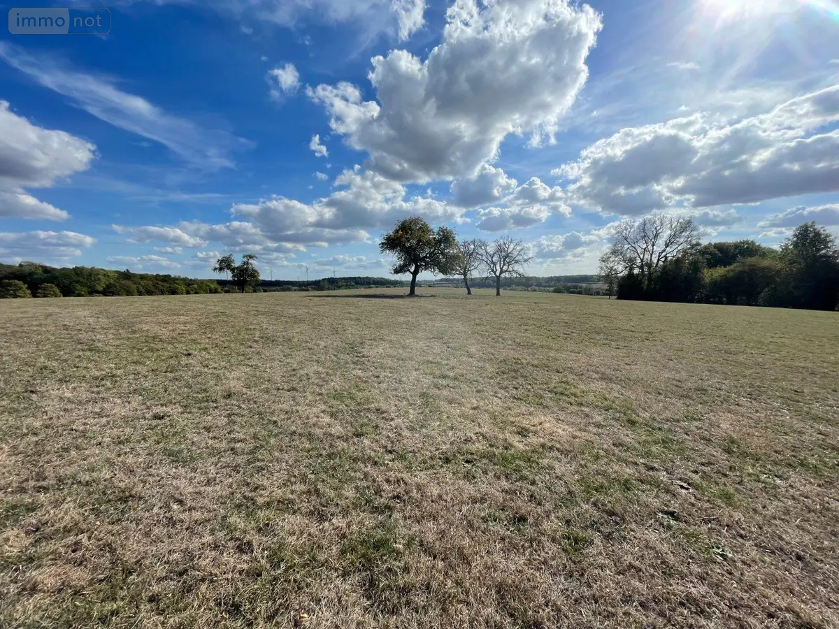 Terrain a batir a vendre Neuvizy 08430 Ardennes 08 45000 euros 08018-TEBA-2264 001