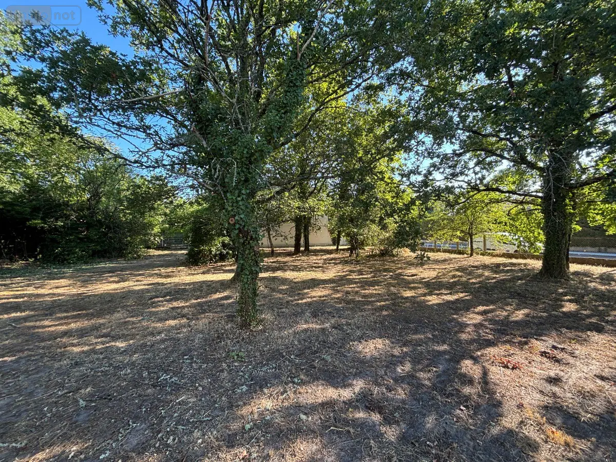 Terrain a batir a vendre Parempuyre 33290 Gironde 33 260 m2 152075 euros 032/1726 001