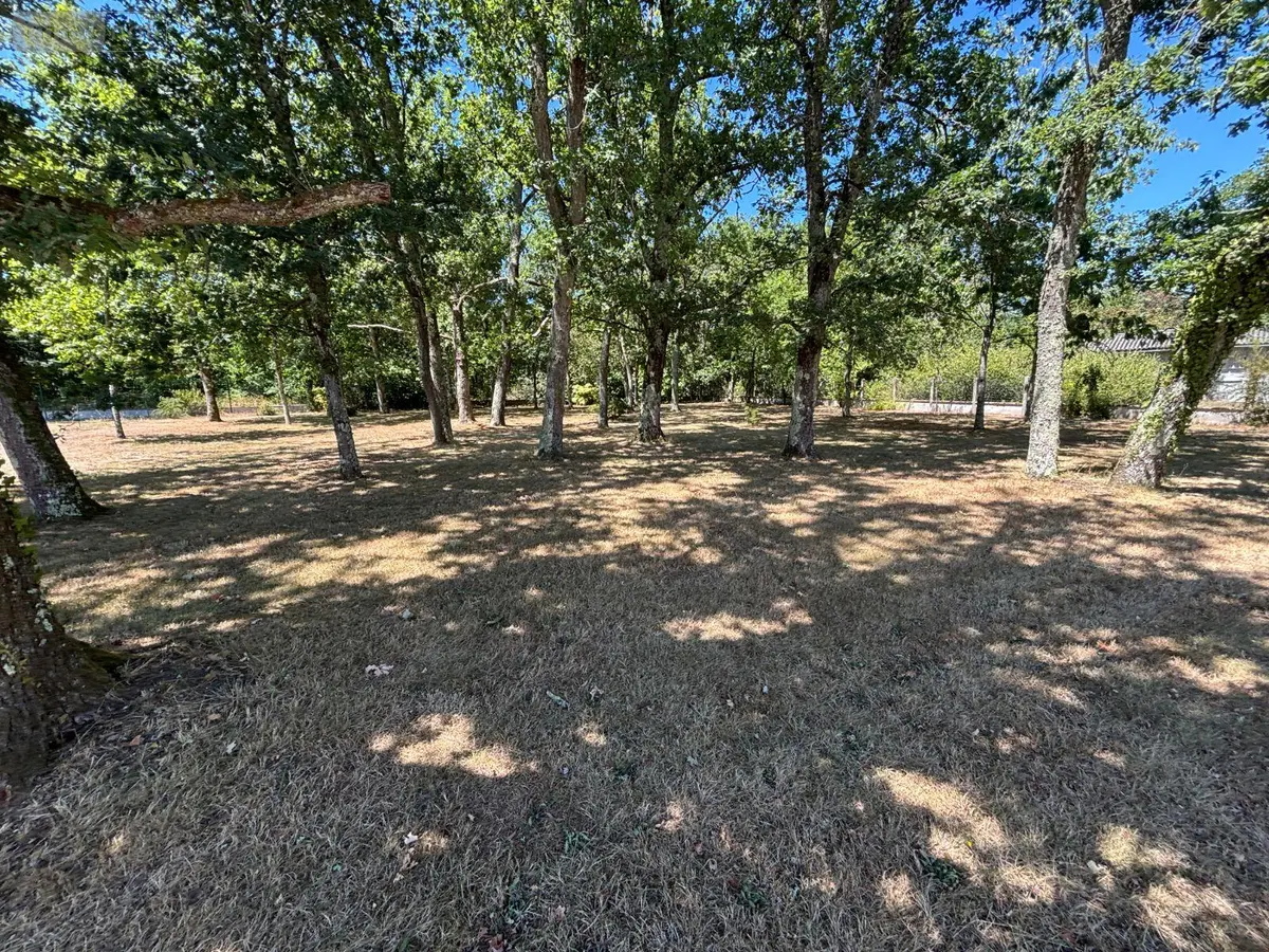 Terrain a batir a vendre Parempuyre 33290 Gironde 33 345 m2 167600 euros 032/1728 001