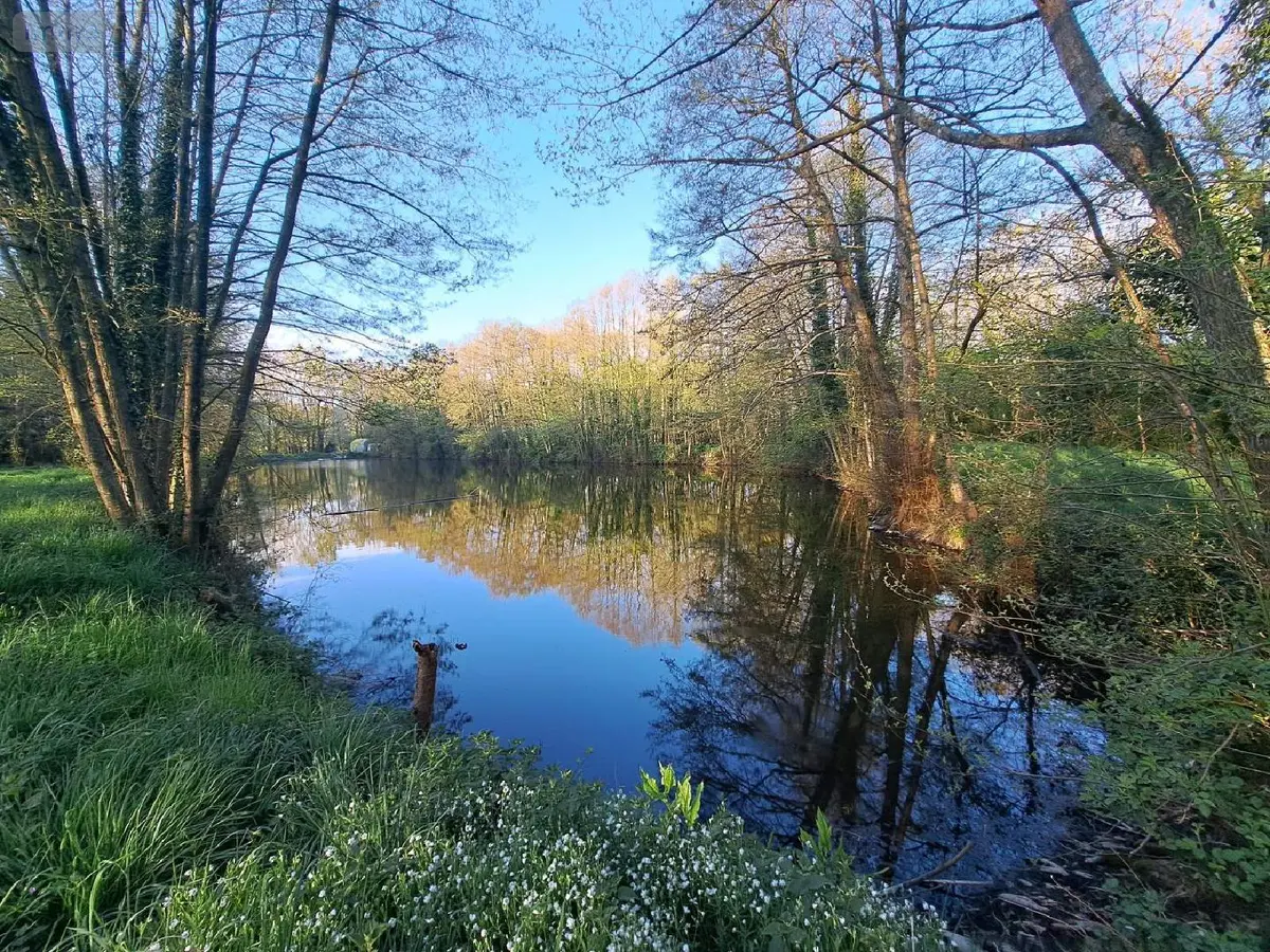 Terrains de loisirs bois etangs a vendre Craon 53400 Mayenne 53 115160 euros 076/2707-MOR 001