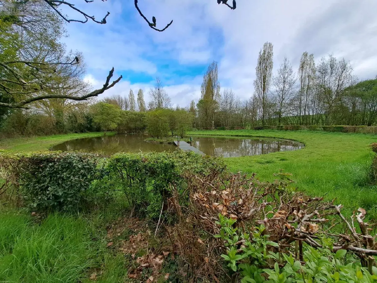 Terrains de loisirs bois etangs a vendre Prée-d'Anjou 53200 Mayenne 53 63360 euros 076/2758-MAD 001