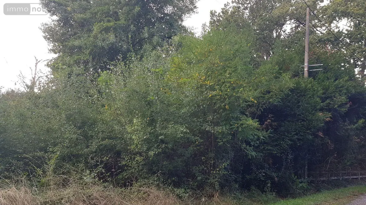 Terrain a batir a vendre Thénioux 18100 Cher 18 570 m2 12780 euros 41036/3234 001