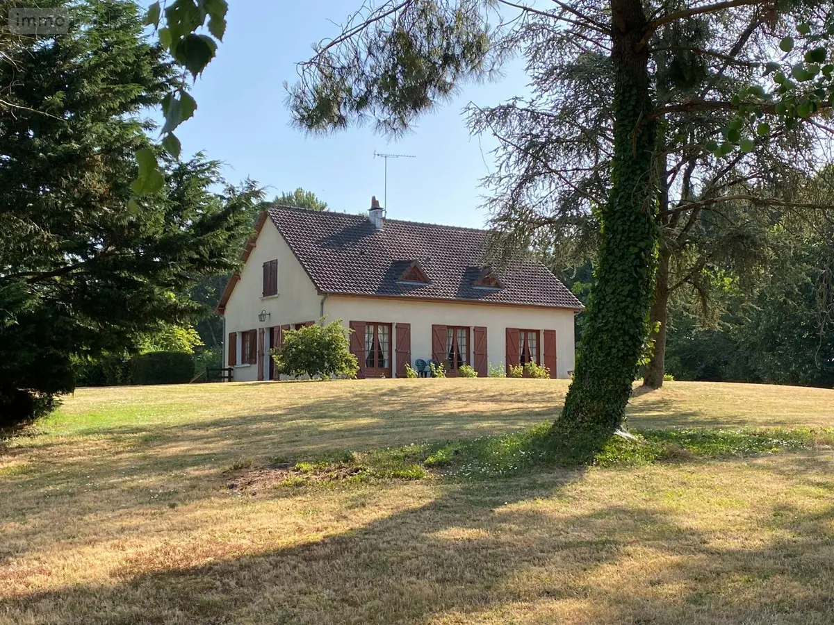Maison a vendre Châtillon-sur-Indre 36700 Indre 36 150 m2 6 pièces 160200 euros 1046585 001