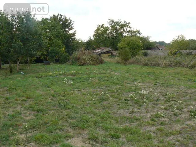 Terrain a batir a vendre Rambervillers 88700 Vosges 88 1984 m2 49000 euros 2289 001