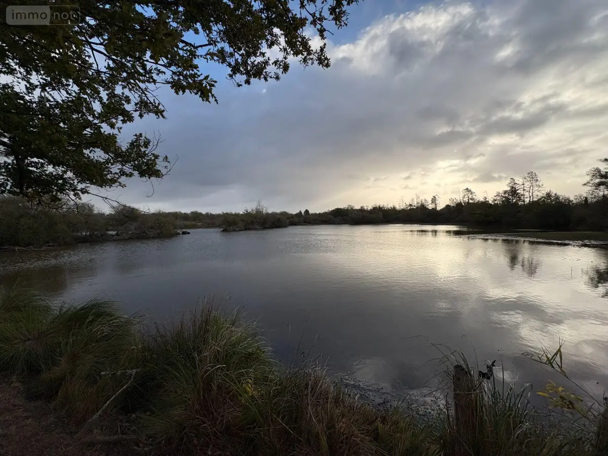 Terrains de loisirs bois etangs a vendre Mézières-en-Brenne 36290 Indre 36 424000 euros 36019/824 001