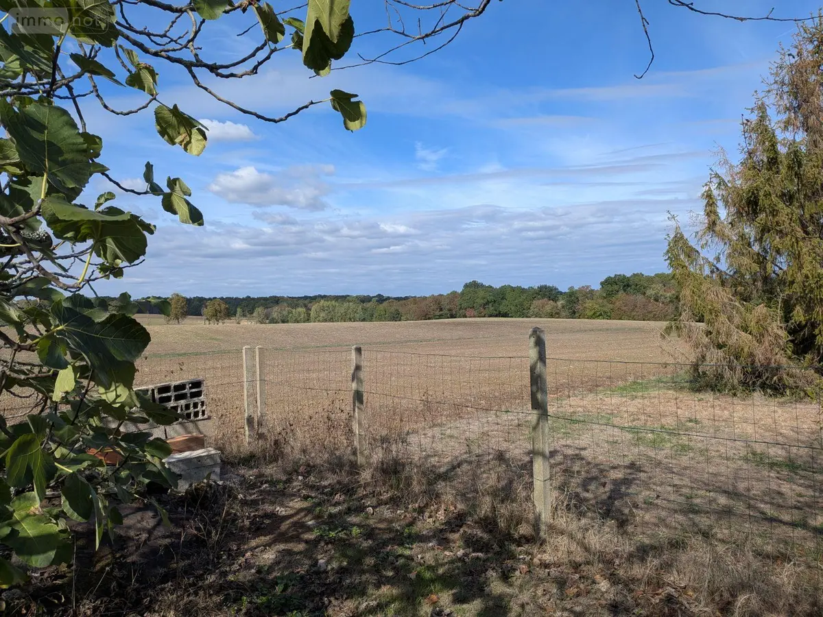 Terrain a batir a vendre Loupes 33370 Gironde 33 135000 euros 045/2233 001