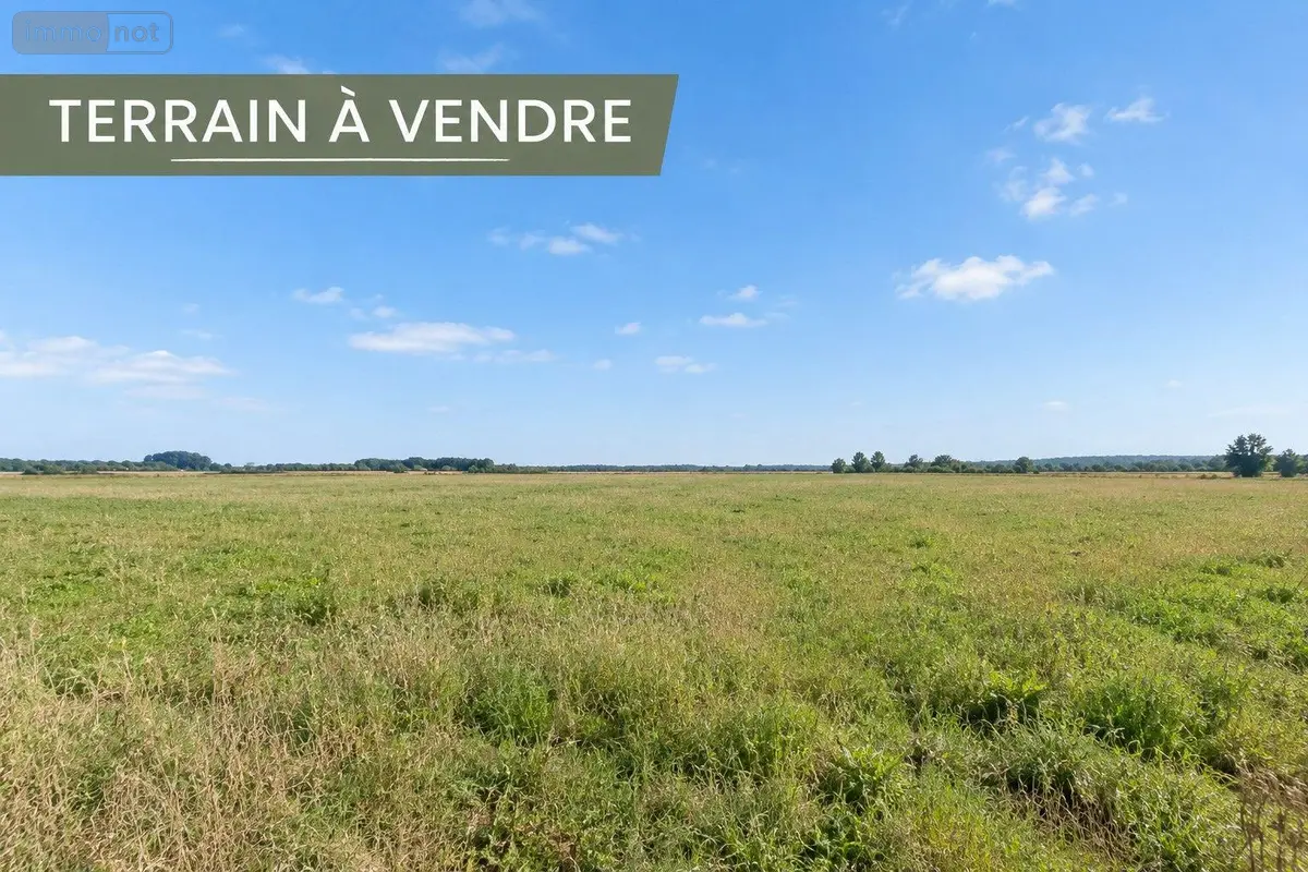 Terrain a batir a vendre Bazas 33430 Gironde 33 36000 euros 33062-46 001