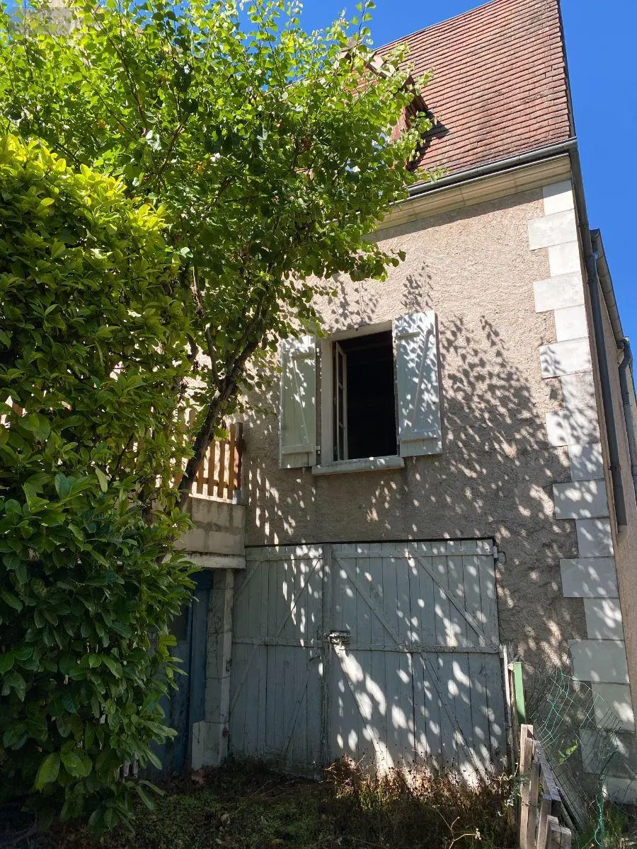 Maison a vendre Châtillon-sur-Indre 36700 Indre 36 60 m2 5 pièces 38300 euros 1052962 001
