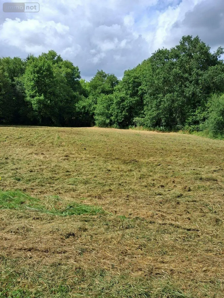 Terrain a batir a vendre Bazas 33430 Gironde 33 66000 euros 33062-47 001