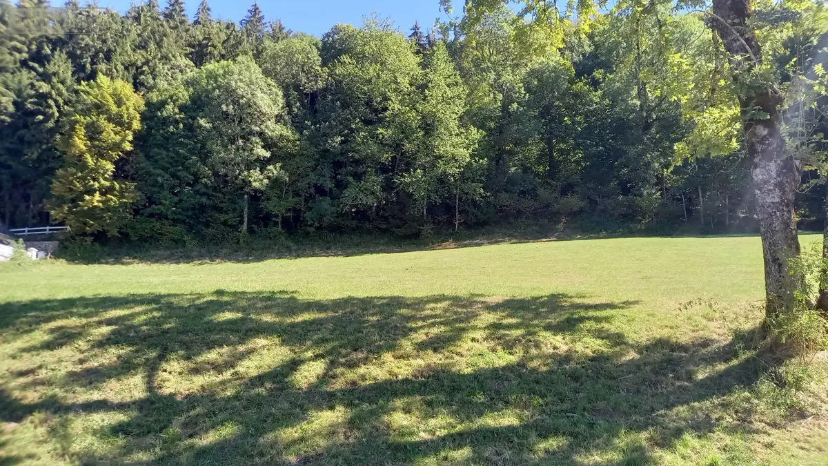 Terrain a batir a vendre Saint-Jacques-des-Blats 15800 Cantal 15 22000 euros MG/2611 001