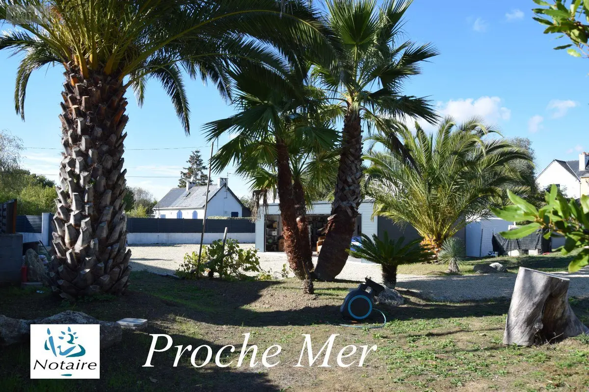 Terrain a batir a vendre Névez 29920 Finistère 29 219072 euros TEBA/2022 001