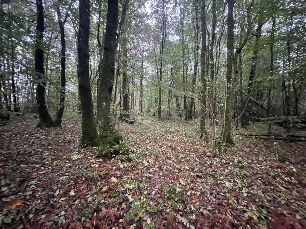 Terrains de loisirs bois etangs a vendre Marcillé-la-Ville 53440 Mayenne 53 16200 euros 629 001