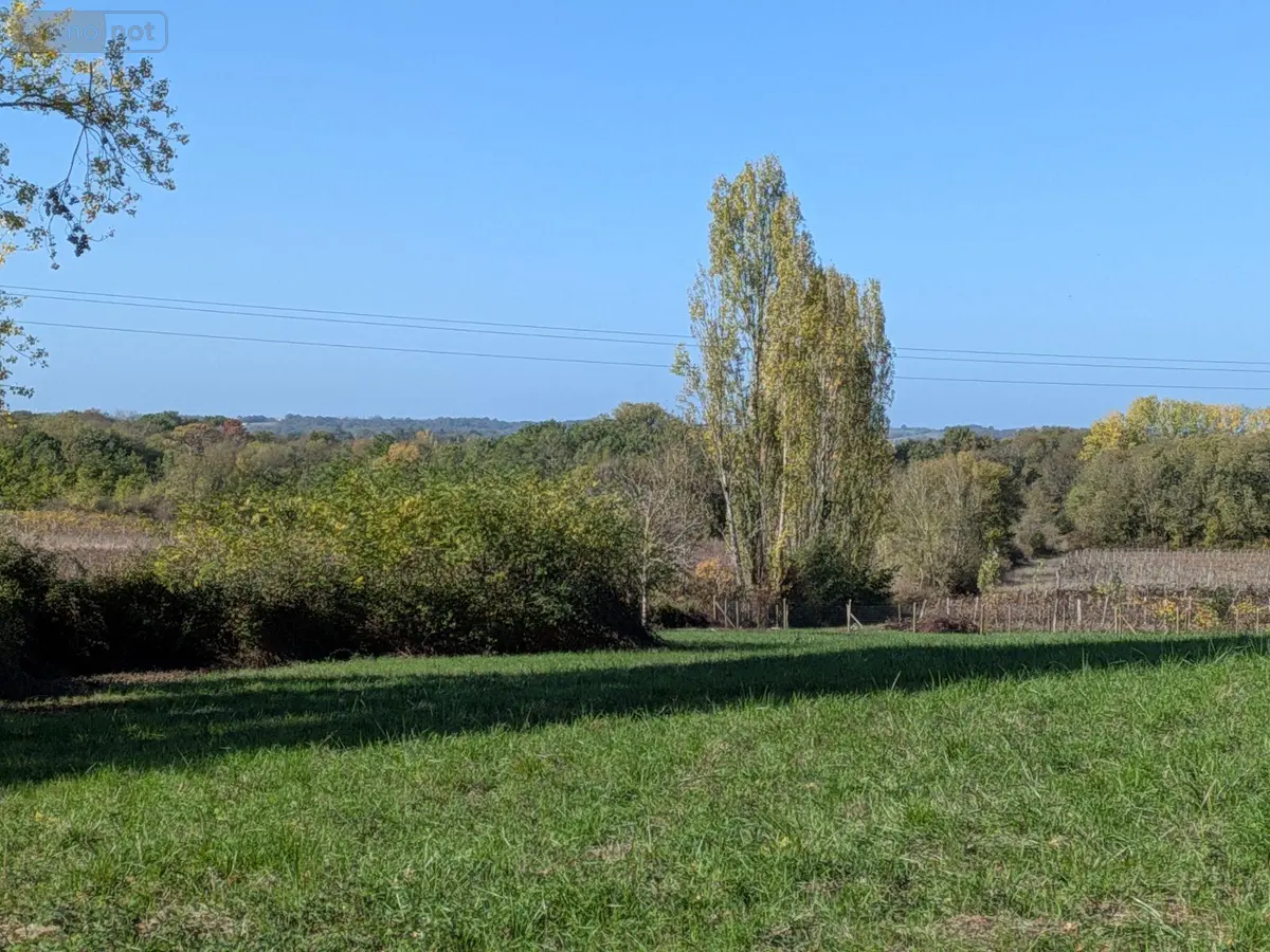 Terrain a batir a vendre Porte-de-Benauge 33760 Gironde 33 55000 euros 045/2236 001