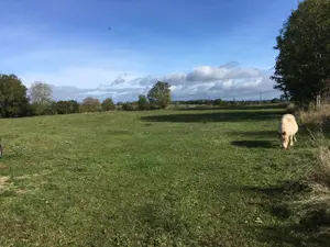 Terrain a batir a vendre Neuvéglise-sur-Truyère 15260 Cantal 15 2500 m2 53000 euros 044/1007 001