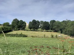 Terrain a batir a vendre Tanavelle 15100 Cantal 15 2900 m2 63600 euros 044/1033 001