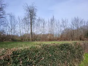 Terrain a batir a vendre Maison-Feyne 23800 Creuse 23 6720 euros 1182 001