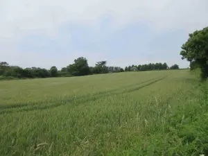 Maison a vendre Plouhinec 29780 Finistère 29 1 m2 1 pièce 170523 euros 020/3662 001