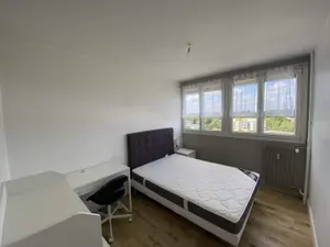 Location appartement Rennes 35200 Ille-et-Vilaine 35 10 m2 1 pièce 350 euros 019/5599 001