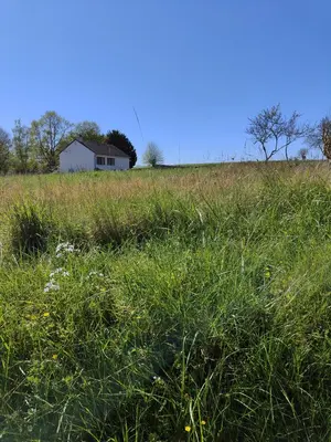 Terrain a batir a vendre La Croix-en-Touraine 37150 Indre-et-Loire 37 510 m2 59000 euros 021/TB0221 001