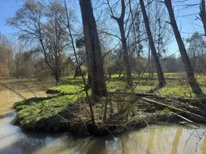 Terrains de loisirs bois etangs a vendre Cormery 37320 Indre-et-Loire 37 14600 euros 034/1391 001