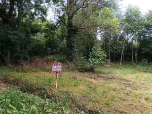 Terrain a batir a vendre Azé 41100 Loir-et-Cher 41 2020 m2 27000 euros 072/1719 001