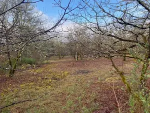 Terrain a batir a vendre Lalbenque 46230 Lot 46 979 m2 47700 euros 009/1704 001