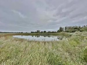Bien agricole a vendre Bretteville-sur-Ay 50430 Manche 50 58240 euros 045/1698 001