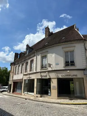 Immeuble de rapport a vendre Sézanne 51120 Marne 51 300 m2 15 pièces 177650 euros 043/1763 001