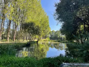 Terrains de loisirs bois etangs a vendre Oisseau 53300 Mayenne 53 167200 euros 046/894 001