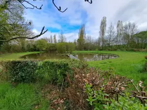 Terrains de loisirs bois etangs a vendre Prée-d'Anjou 53200 Mayenne 53 63360 euros 076/2758-MAD 001